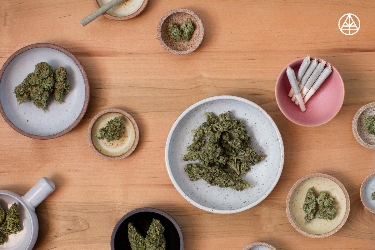 SFVRCC's tweet photo. Explore #cannabis cultivation in #VR for the 1st time by https://t.co/1OlgAIQN4H @BarbaryCoast_sf Aug 25th 4-7pm https://t.co/iFAIo7pELb