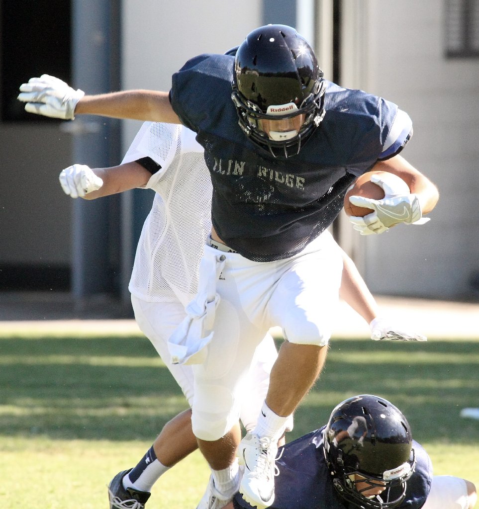 Andrew J. Campa tweet media