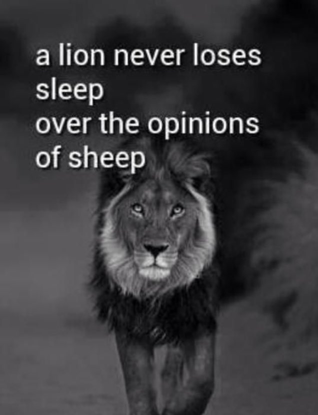 aboutbe1's tweet image. 