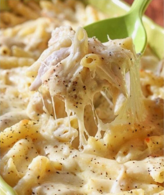 Cheesy Chicken Alfredo Casserole 😍