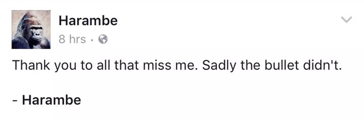 MeninistTweet's tweet image. 😞 *pulls out dick*