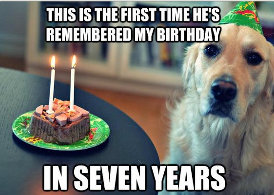 darrynvdwalt's tweet image. Thank you for all the birthday love and wishes yesterday! I had a great day! #notificationoverload