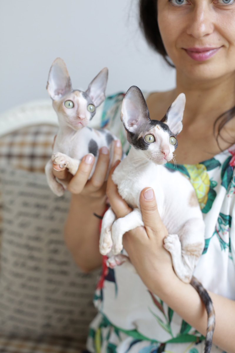 _DeoRex's tweet image. Мы ходили в студию #Photostage больше фото, вы можете смотреть на сайте crx.me/blogs инстаграм @adeorex