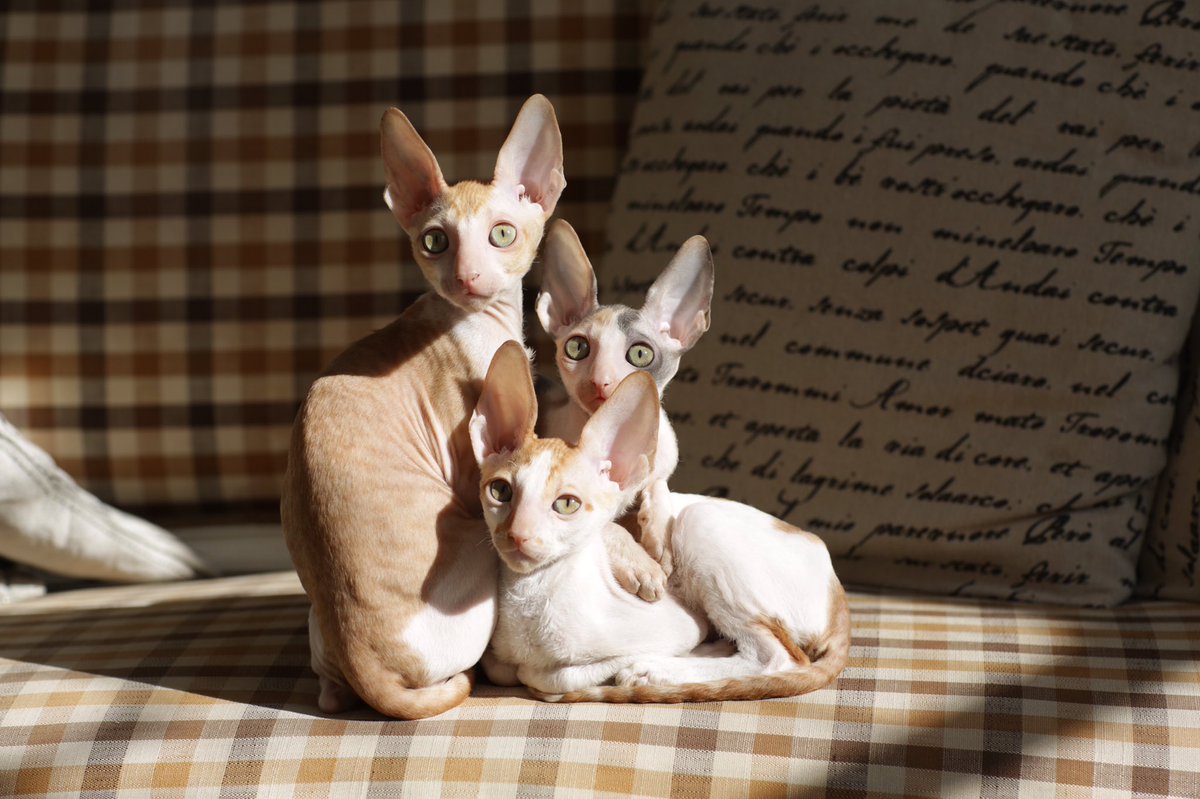 _DeoRex's tweet image. Мы ходили в студию #Photostage больше фото, вы можете смотреть на сайте crx.me/blogs инстаграм @adeorex