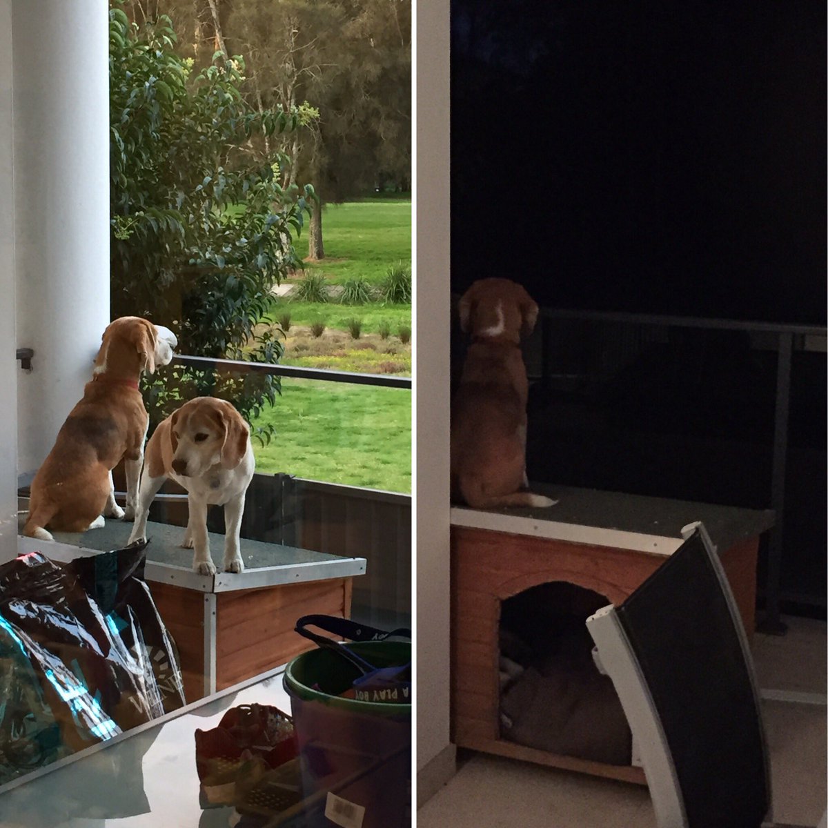 Checking out the view day and night