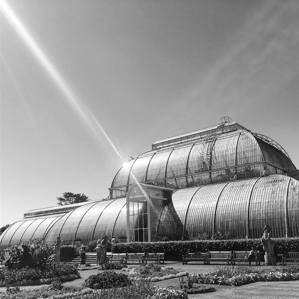 mprsn's tweet photo. Absolutely stunning day at Kew #latergram https://t.co/PD1ovwb6As