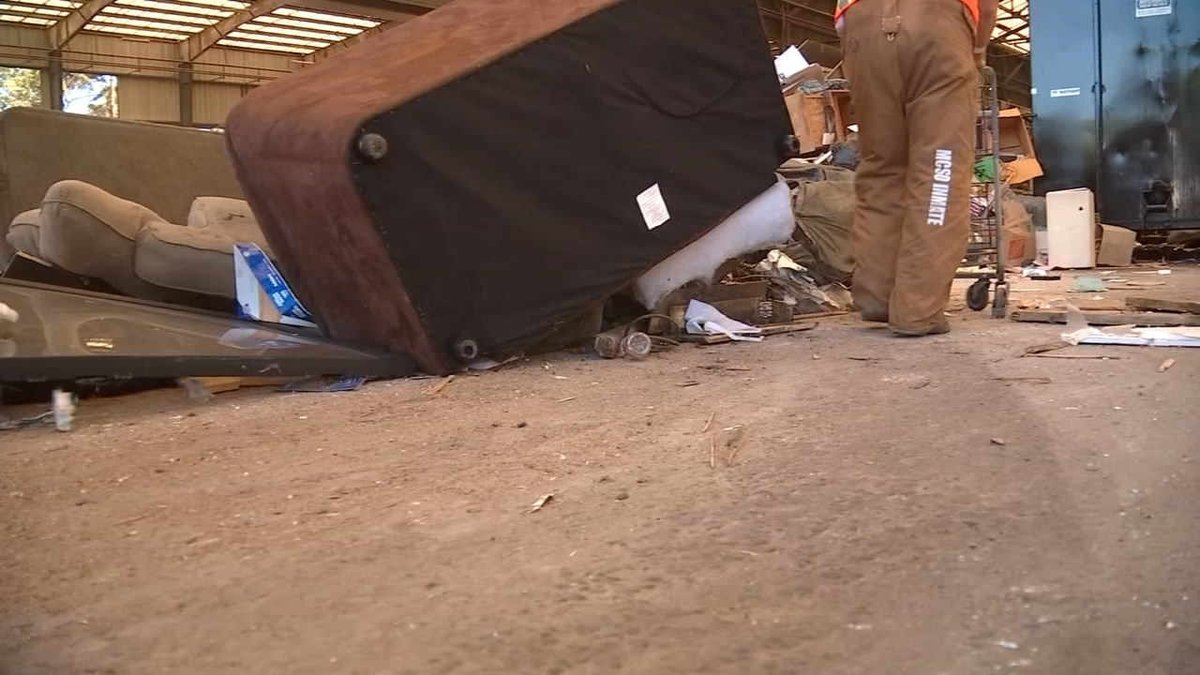 Metro's illegal dumping patrol cleaning up dump sites, homeless camps