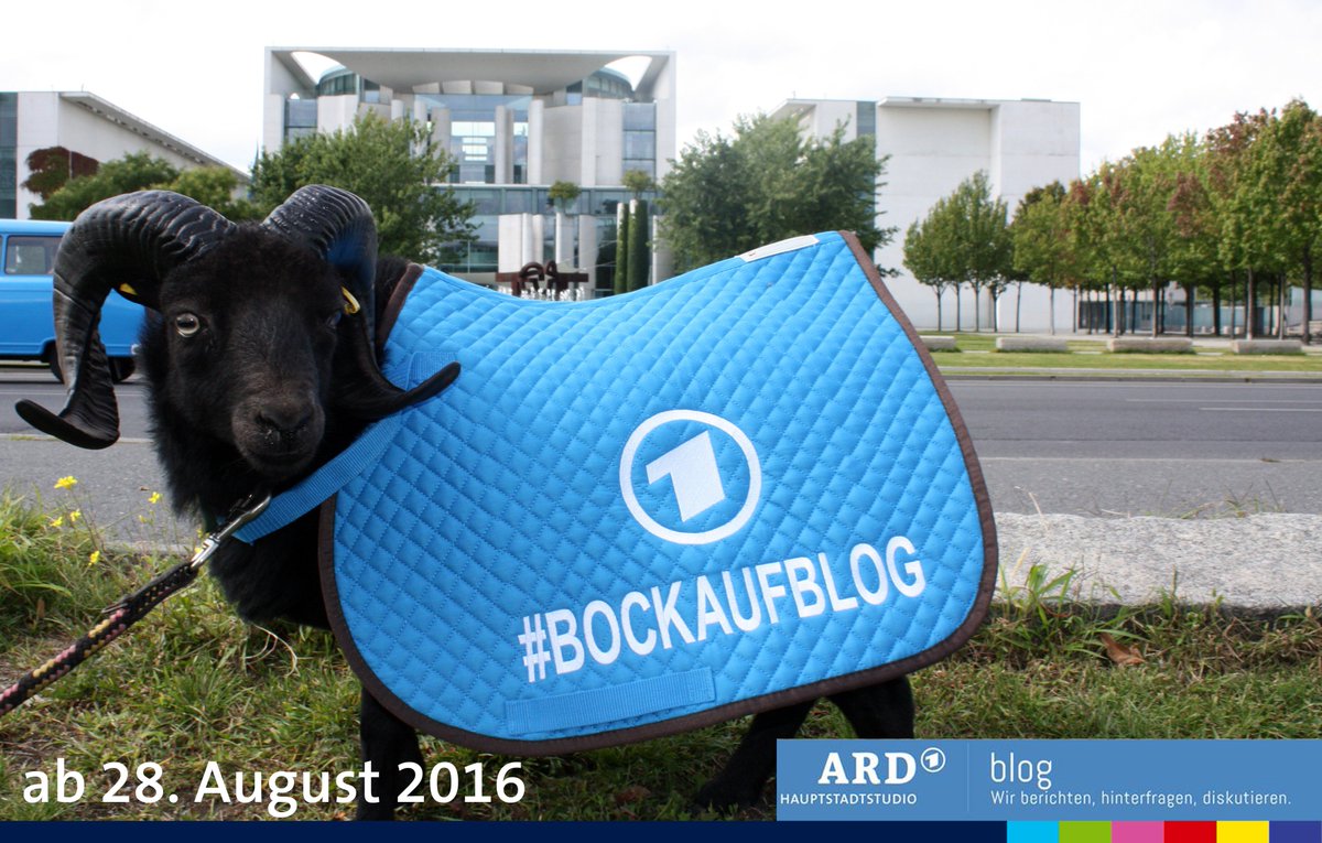 ARD_BaB's tweet photo. Noch drei Tage ... #BockAufBlog mit @ARDHSB https://t.co/KFTFKRXQ5q