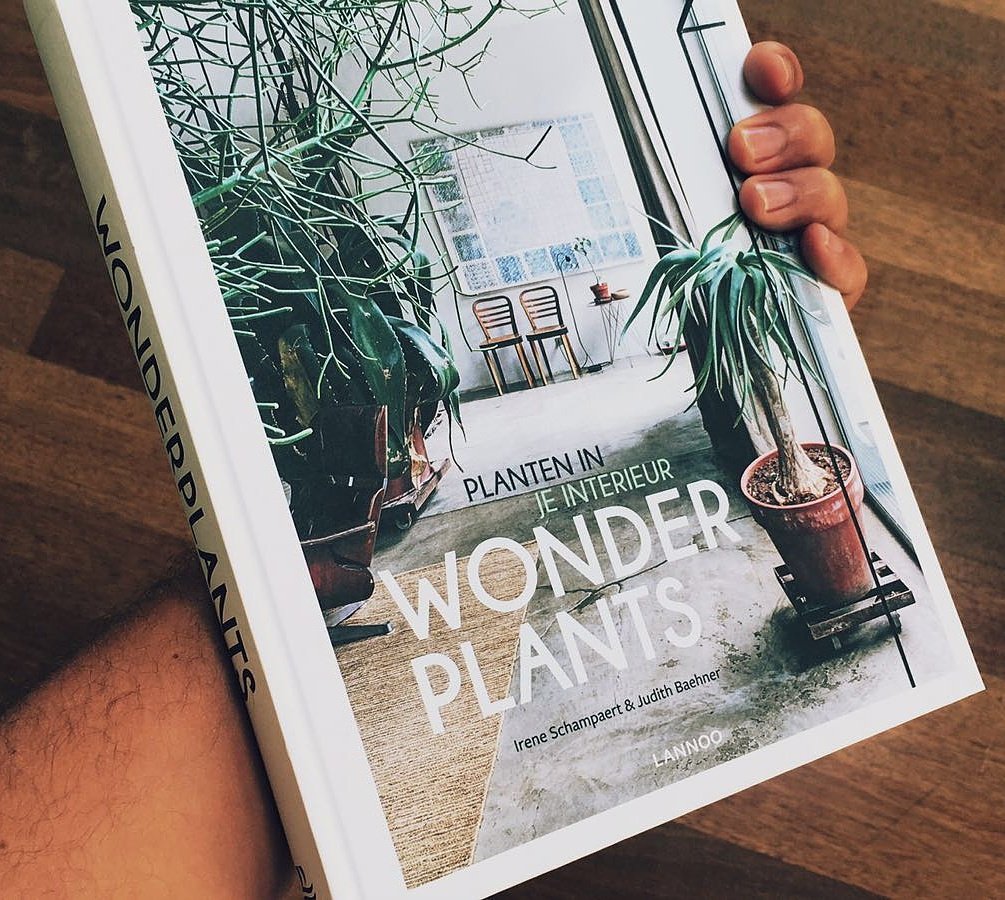 Vers van de pers! #wonderplants #lannoo #interior #greenery #book <a href="/Lannoo/">Uitgeverij Lannoo</a>