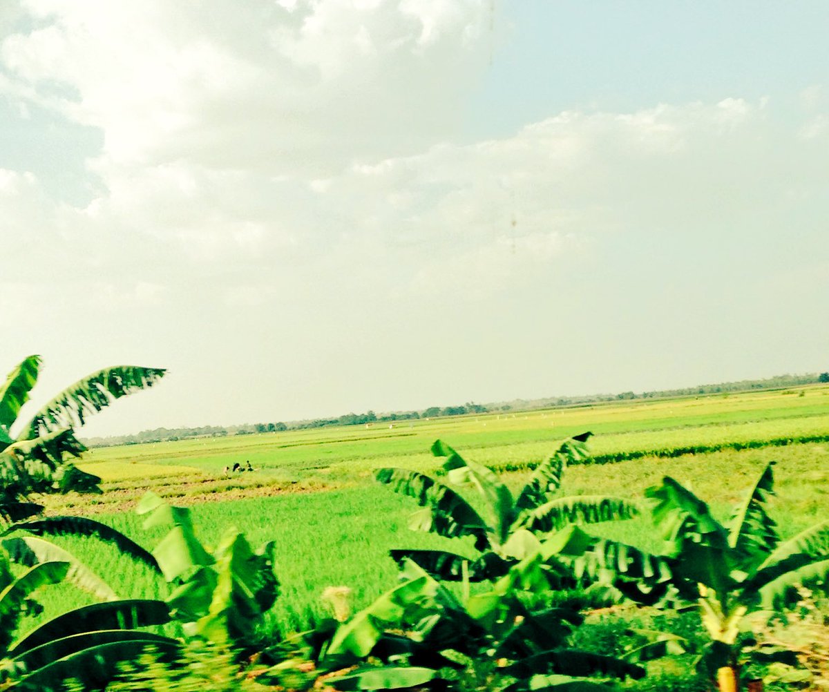 Le Burkina est un pays Sahelien et on produit du Riz à Bama. 
#RebrandingBurkina