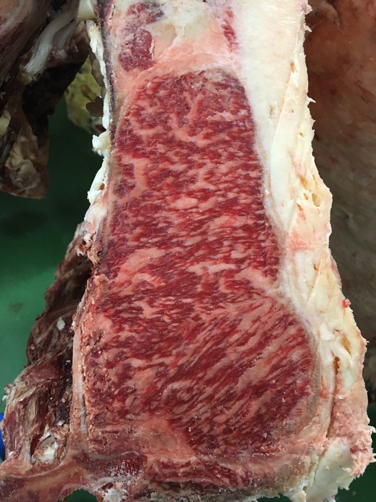 Amazing trip. Some serious beef.