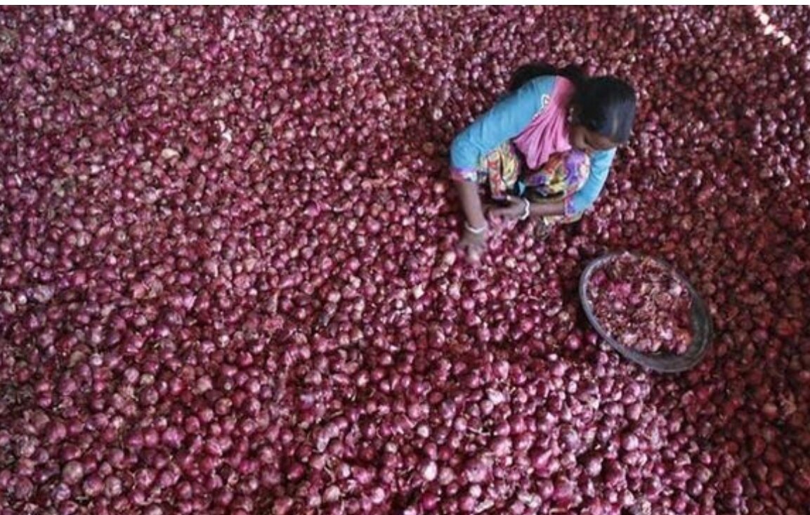 Farmers feel distraught &amp; dismayed over abysmally low Onion prices <a href="/Maharashtra/">Maharashtra🇮🇳</a>. <a href="/Dev_Fadnavis/">Devendra Fadnavis</a> remains unperturbed.