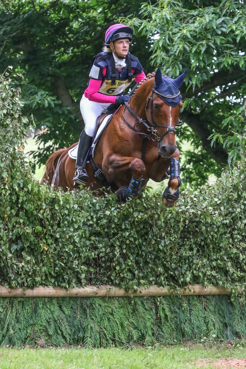 becky_murray's tweet photo. Raindancer Roxanne 16.1hh 9yr old mare #forsale #futurestar contact me for more info https://t.co/QrtmHaHPA9