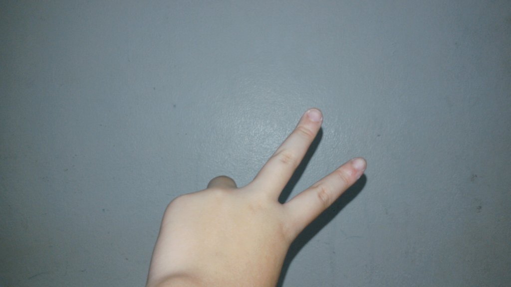 _Fahnwp tweet picture