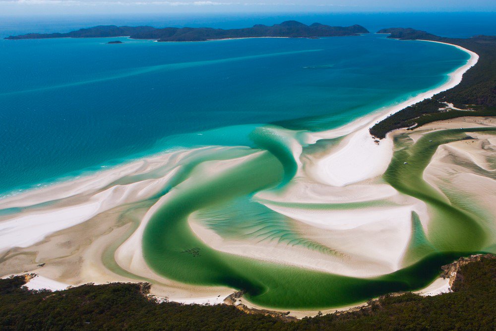 Gros plan sur l'une des plus belles #plages du monde : Whitehaven Beach, en Australie 🇦🇺 okvoyage.com/2111-whitehave…