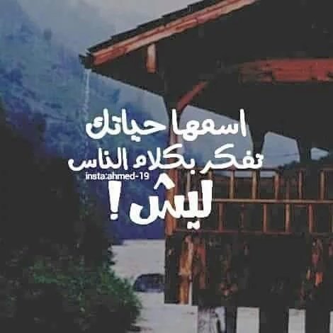 واحد محظرلي نار🔥 
واحد يگصني بــ مگص ✂
وانه امشي ونيتي بيضة⚪
وهمه قسموني حصص 
ومن طحت گدام ربعي😢 
ماكو واحد ما 👈👈رگص
