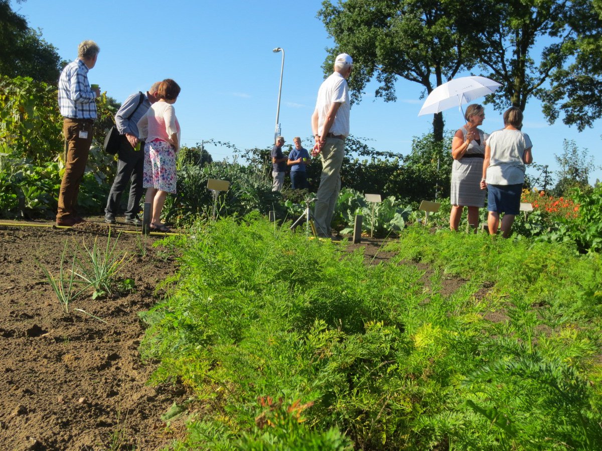 DorpstuinDip's tweet photo. Team @KnhmDrenthe te gast in @DorpstuinDip en een koele vergadering op het terras van #DeDeel in Sleen. @KNHM_ https://t.co/6a9rBshvDR