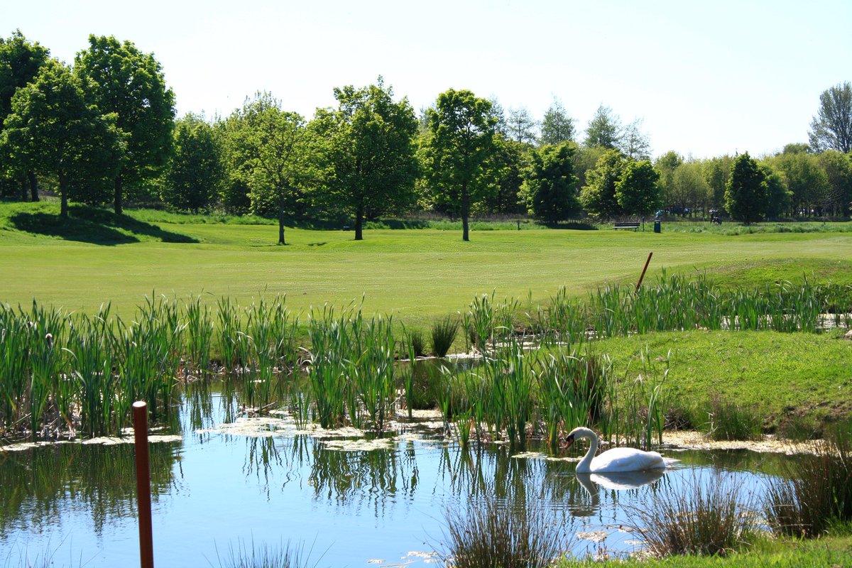 Join Scottish Golf (@joingolf) on Twitter photo Play this great #EastLothian course: <a href="/HaddingtonGolf/">Haddington Golf Club</a> Senior Open on 06 Sep
Entry £12: bit.ly/2bIgjhy Play this great #EastLothian course: <a href="/HaddingtonGolf/">Haddington Golf Club</a> Senior Open on 06 Sep
Entry £12: bit.ly/2bIgjhy