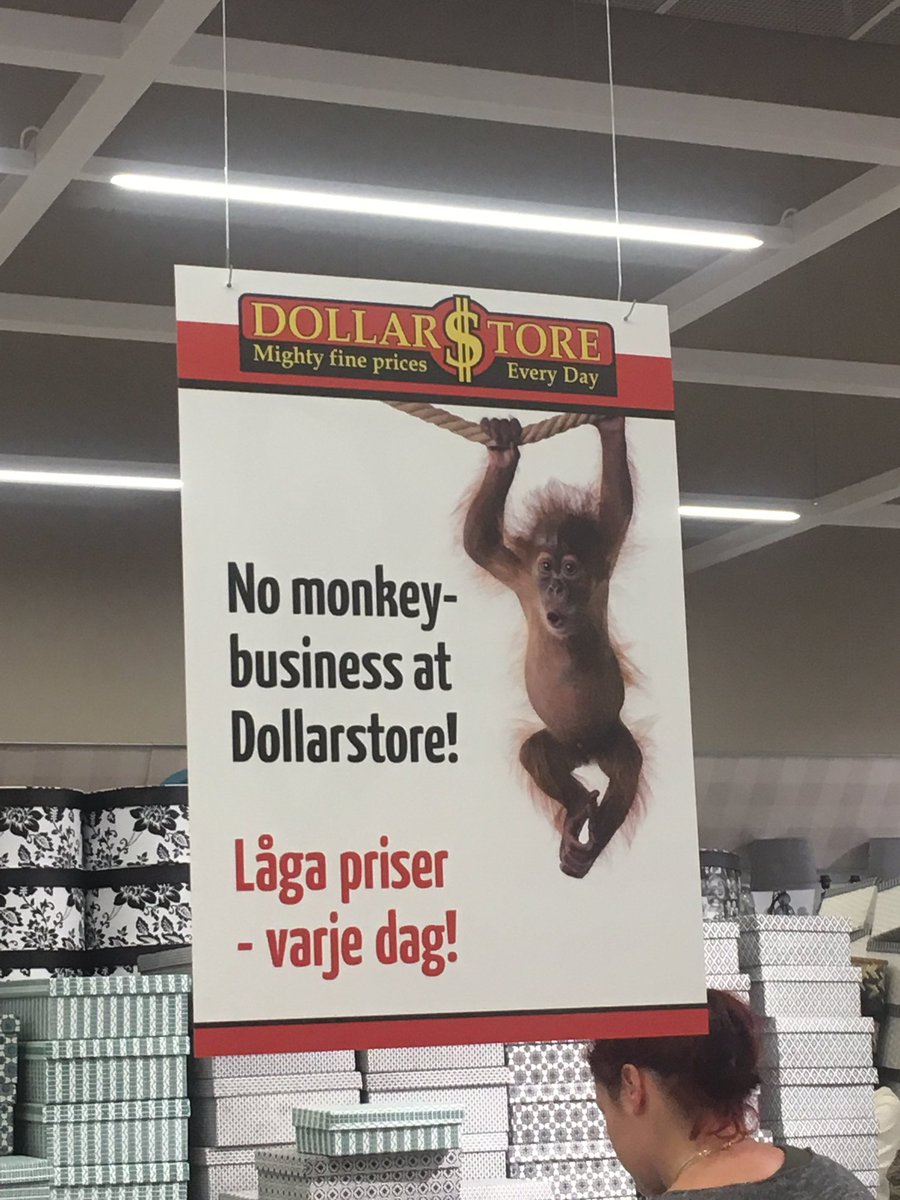 Harriet Cohen on Twitter "It's all about value and fun in Dollar