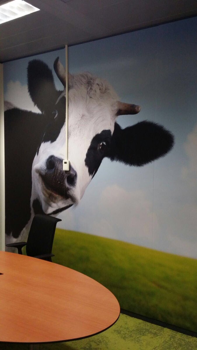 dapsigns's tweet image. Mooie klus, fotoprints op diverse wanden bespreekkamers