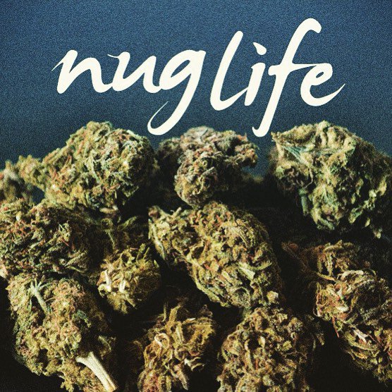 CrystalMerden1's tweet image. In the nug life