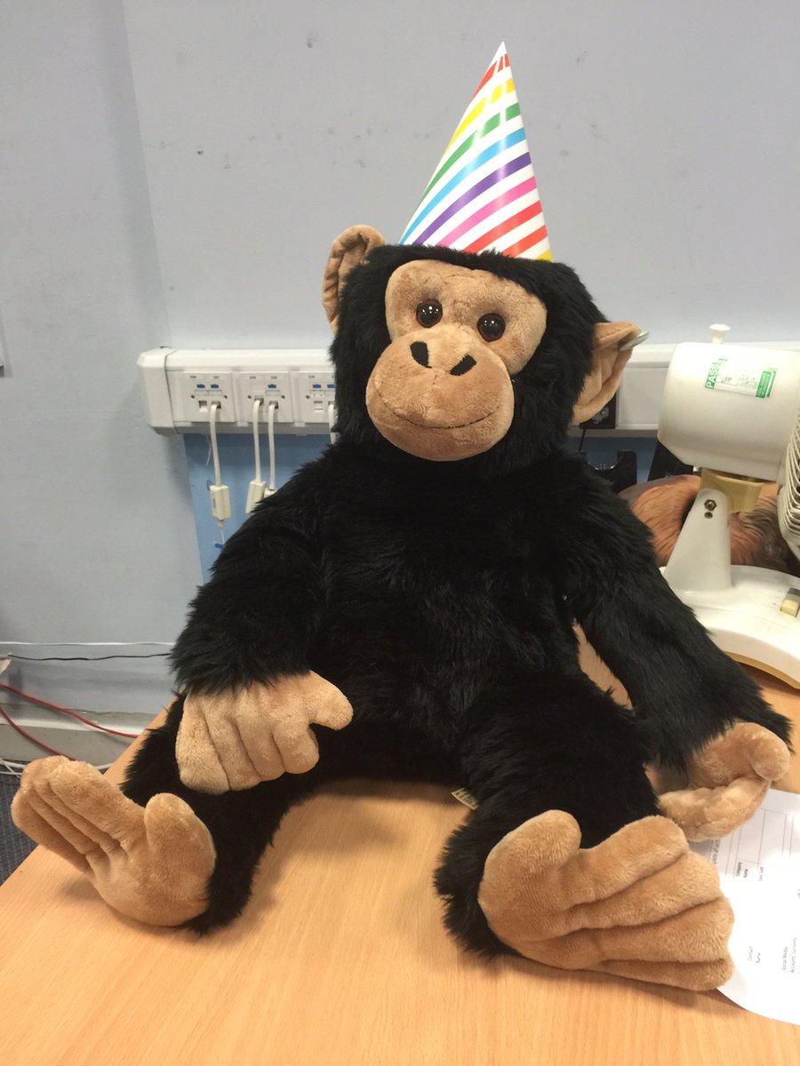 Lossky's tweet image. Party hats @Applegate_B2B for @legoheather 's ?0th birthday