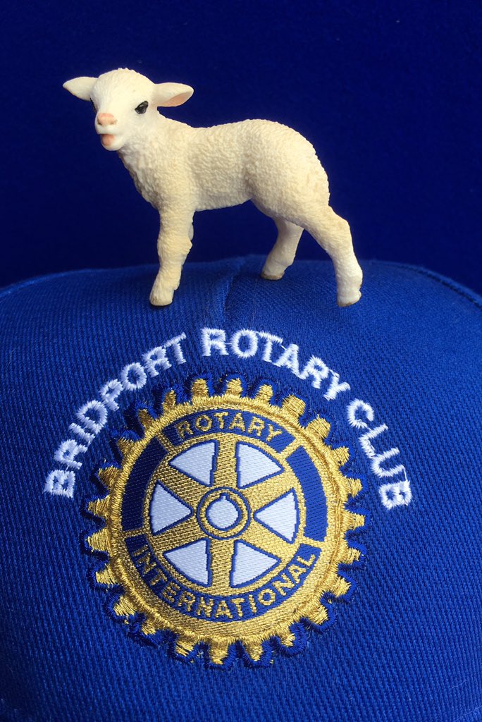 We are collecting for <a href="/ShelterBox/">ShelterBox</a> <a href="/TheMelplashShow/">Melplash Show</a> plus our new 'Ewe and Me' selfie competition @WessexFM