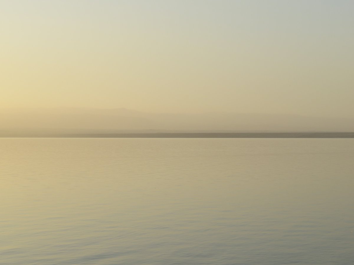 1wk to Coated in Pre-existence @thecobgallery we celebrate by publishing this talk Sat 3/09 facebook.com/elizabethxib/p…