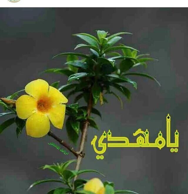 سلام الحسيني (@slamhusein) on Twitter photo 