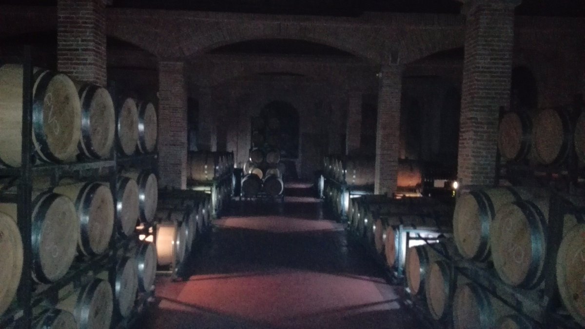EnoturismoFG's tweet photo. #Winwlover! Gracias por elegirnos y vivir con nosotros esta experiencia de #enoturismo. https://t.co/odPGBB0j2x https://t.co/FAcoMoWqTa