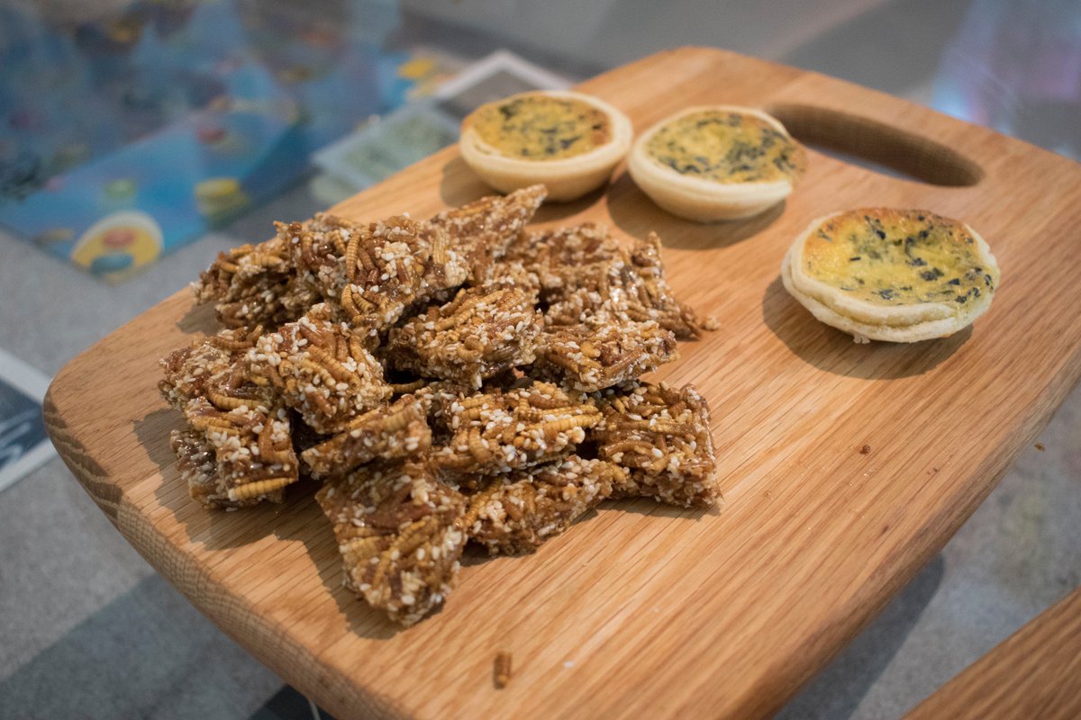 Feasting on alternative proteins with <a href="/hubbubUK/">Hubbub</a> last night. Mealworm dumplings, Mealworm Snaps and Seaweed Quiches.