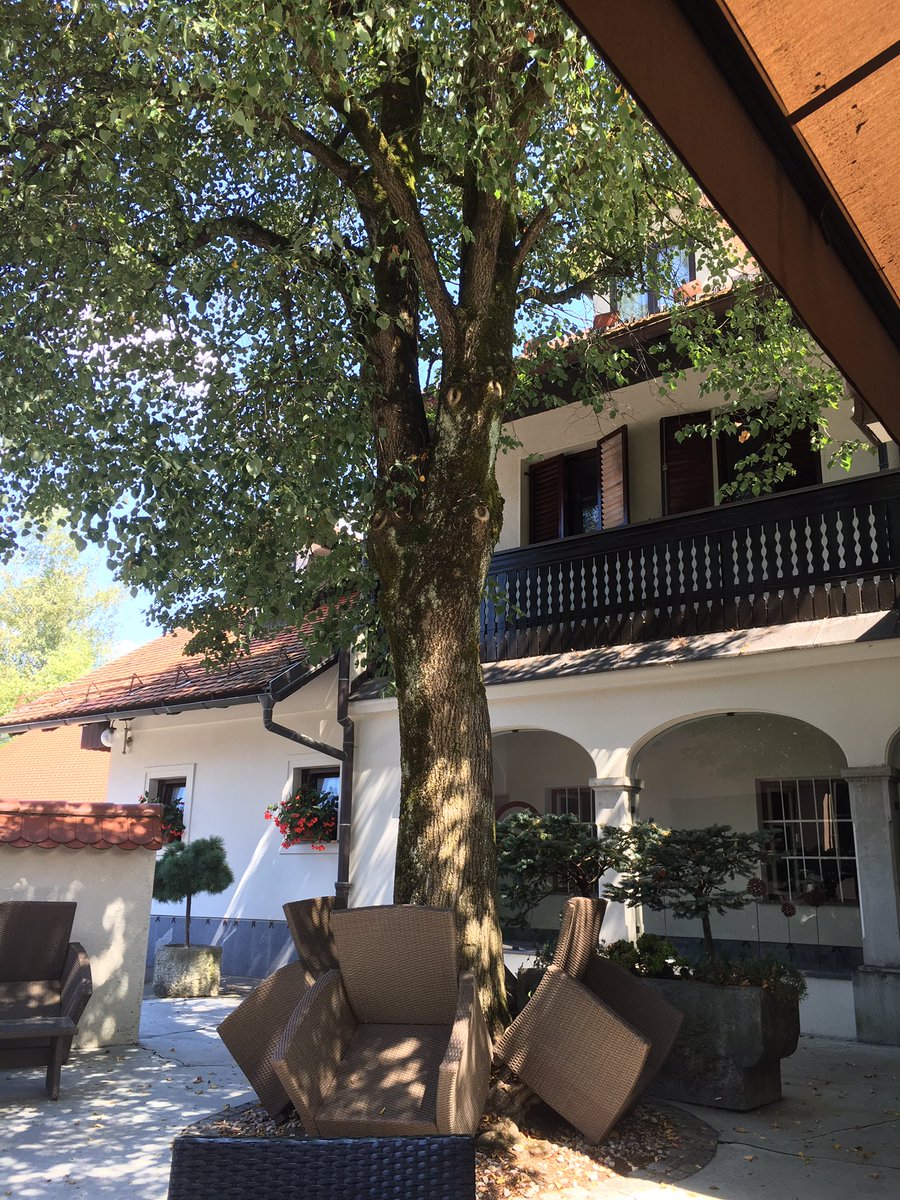 casspersi29's tweet photo. Četrtkovo kosilo v Hotelu&Gostilni #Gorjanc #Brezovica #DoberTek miren ambient& prijazna&profesionalna postrežba 🍲🍧🍝 https://t.co/6WFnWLykGu