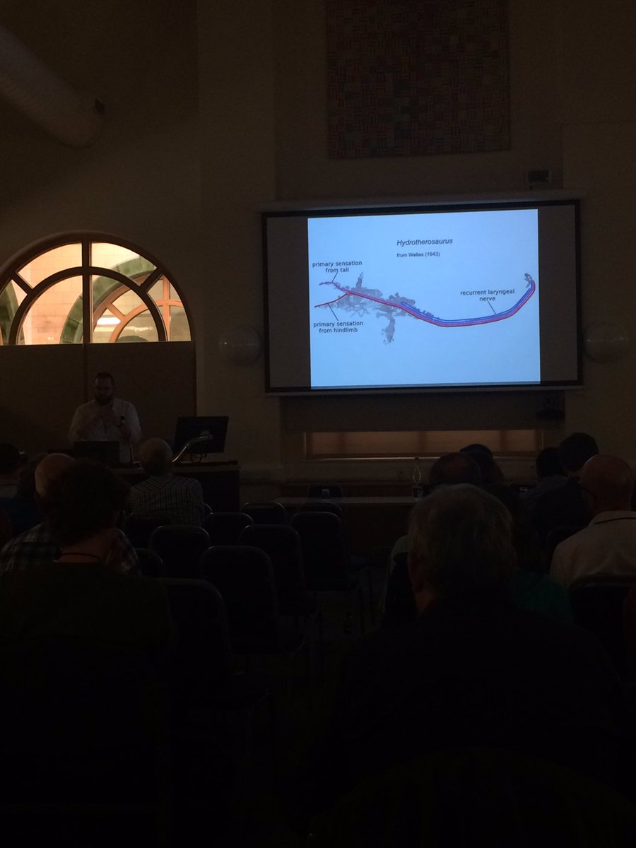 AAlechiarenza's tweet photo. Can knowledge of animal morphology help us fighting diseases like multiple sclerosis? YES - M. Wedel #SVPCA2016 https://t.co/Cwhg78OlGF