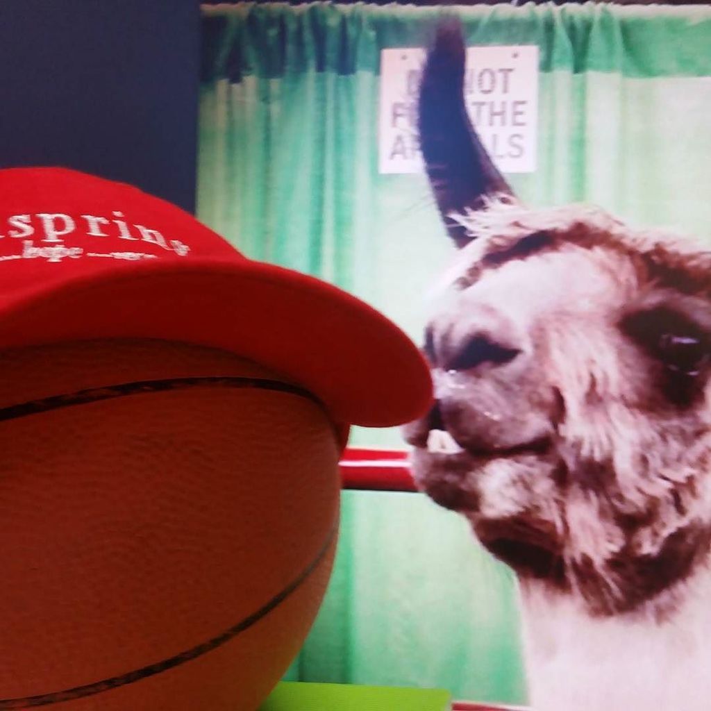 WellspringKy's tweet image. Wellson at KY State Fair. #GiveLocalLouisville