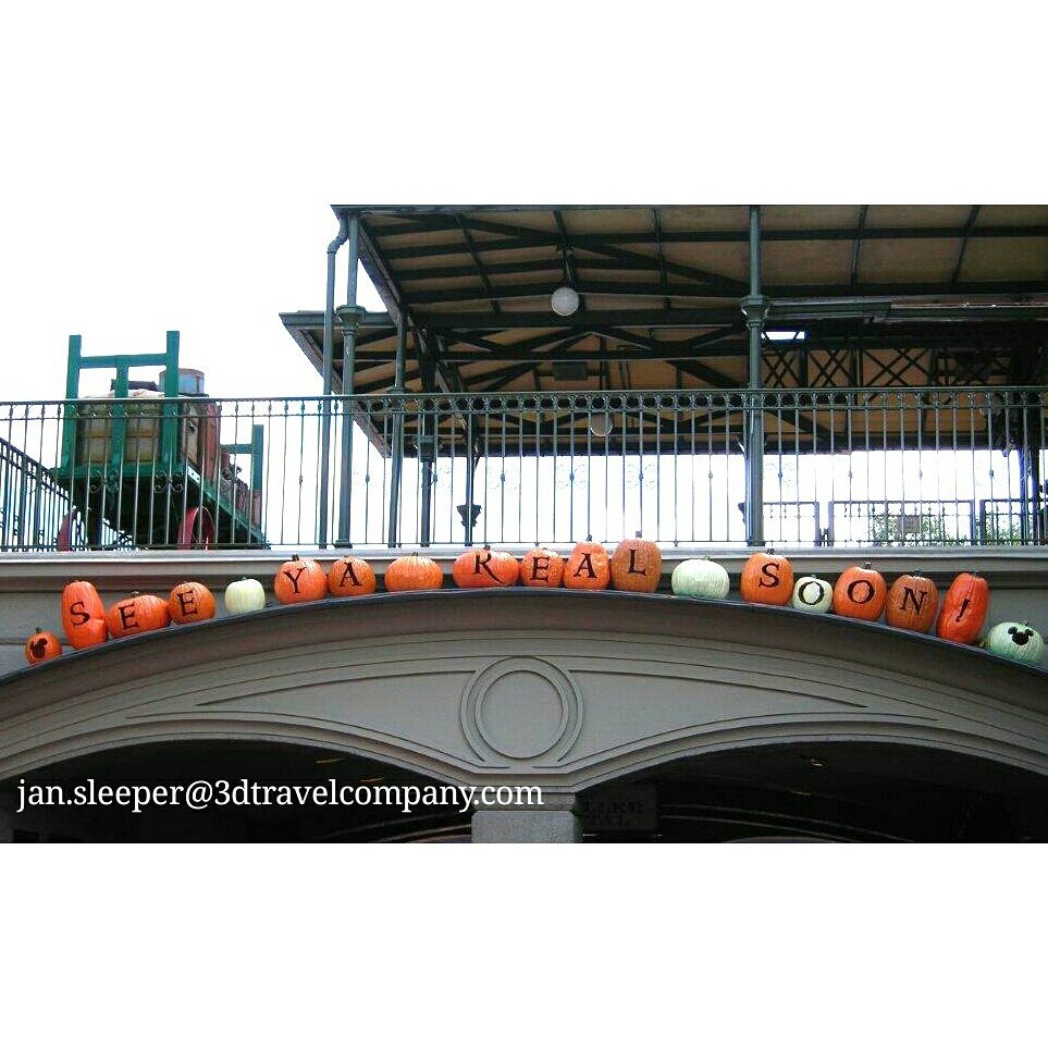 jan_sleeper's tweet photo. I love this! #3DJan #3DDogDaysofSummer #conciergevacationplanner #waltdisneyworldresort #magickingdom https://t.co/0bPy7pk3lT