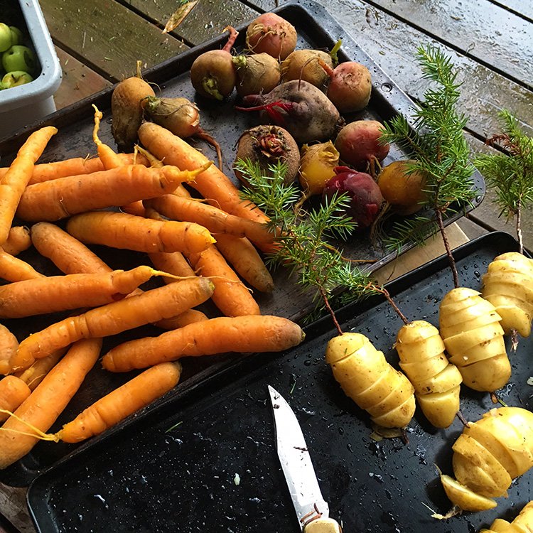 Cool summer nights = sweeter root veggies #foodforthought