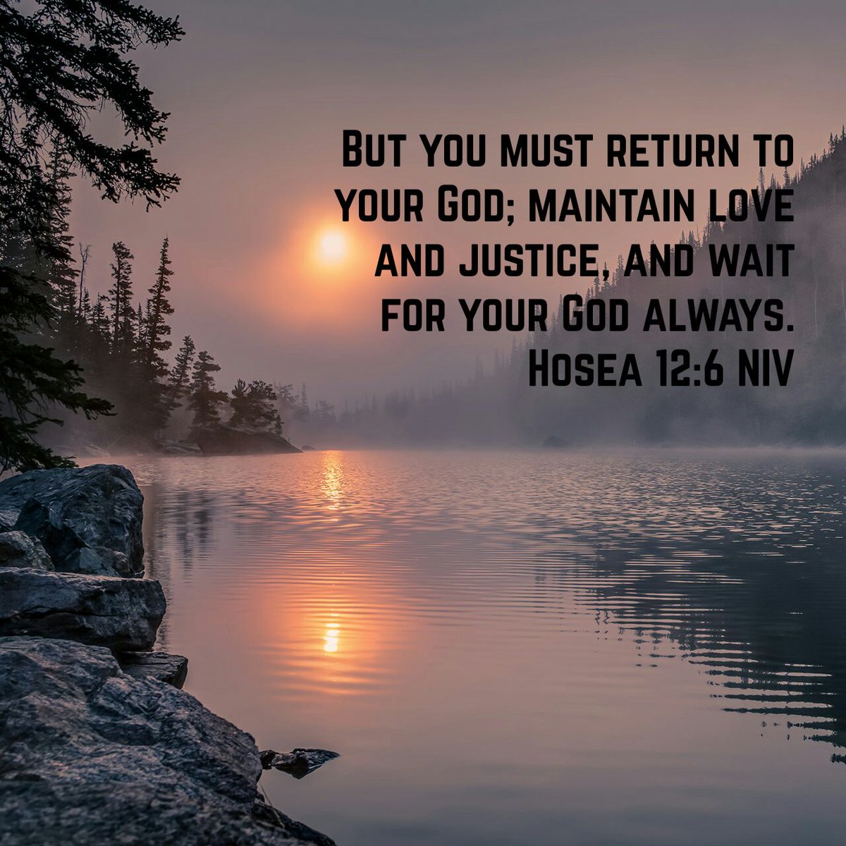 Edson Pineda Santos on Twitter: "#Bible #Biblia #SonofMan #JesusCristo #JHWH Hosea 12 NIV https://t.co/gK1Ar9seZ7… "