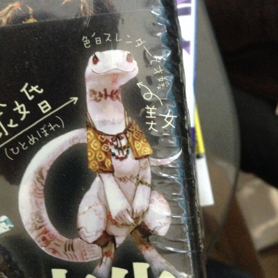 アイドア Idorr オーバーロードって小説 コミカライズある 蜥蜴人のがいる しかも蜥蜴人編ってパートある アルビノのメスというクルシュ ルールー ってキャラがいる かわゆ ぐぐるからだんだん出た情報 T Co Ihynhgcjlg T Co