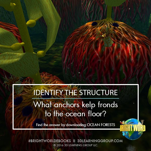 Have the #kids read #Ocean Forests? Challenge them with a #trivia question &amp; learn more ▶ bit.ly/FbCF2016