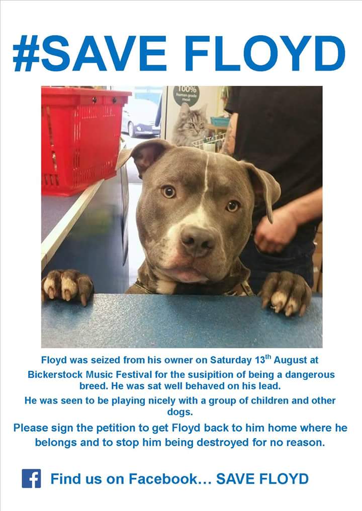 TaffettaCrafts's tweet photo. #SaveFloyd https://t.co/teus2ZqUGd