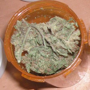 BeingWellVersed's tweet photo. With Some Restrictions Lifted on #Marijuana Research, More #HIV Data Could Emerge https://t.co/jfQdqjxpmz https://t.co/wUjTguQjaS