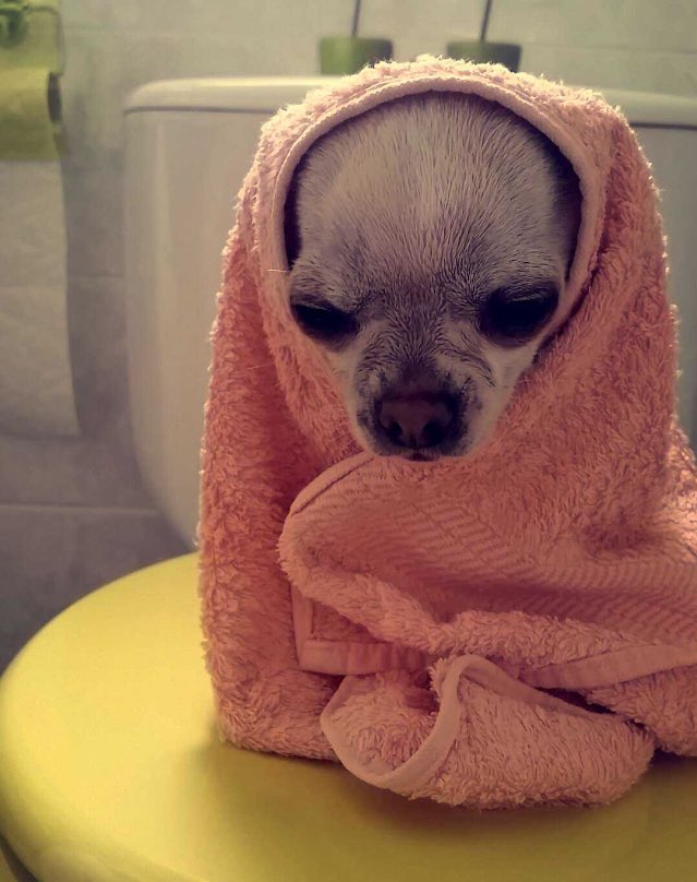 Camren is more real than the air I breathe, I know, <a href="/camilacabello97/">Camila</a> knows, <a href="/LaurenJauregui/">Lauren Jauregui</a> knows and we all know