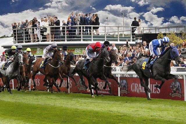 Proud to be 1st UK Racecourse to display dynamic perimeter board graphics via an LED system #TopSpot <a href="/RCAShowcase/">RCA Showcase</a>