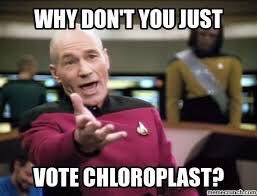 fhschloroplasts's tweet photo. @wcsFvHsdd #organellewars https://t.co/I923mgaDu6