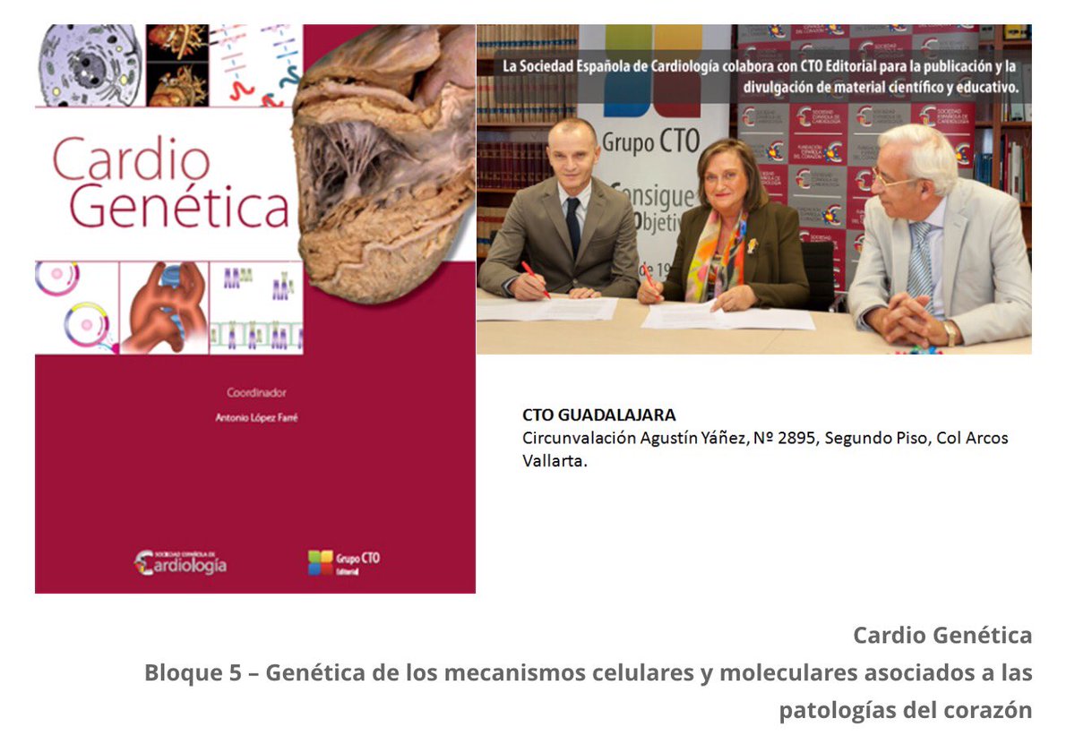 ANCAM México tweet media