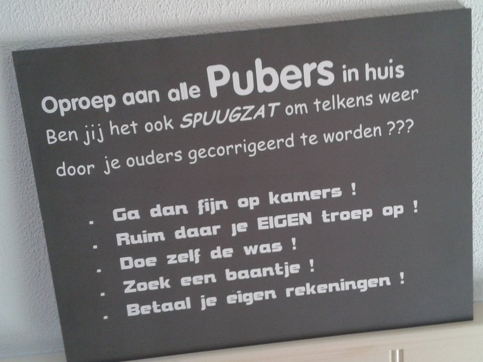 te koop in Wijk (@prachtighuis) on Twitter photo 