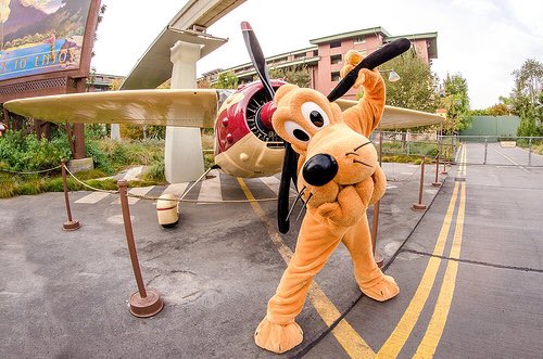 DisneyWinner's tweet image. #Pluto dog just being a goof. #Disney
