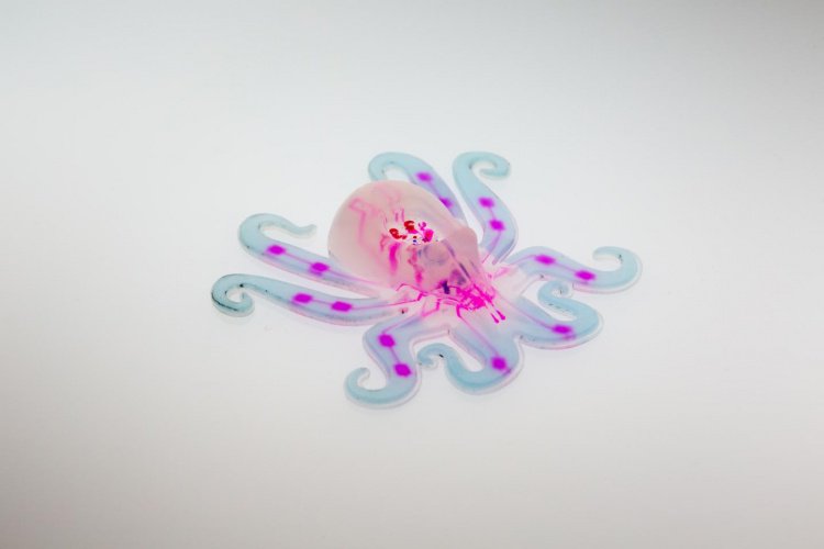 jobs4automation's tweet image. The first entirely soft robot has been created. theengineer.co.uk/harvard-engine…
#robotics #robotengineering
