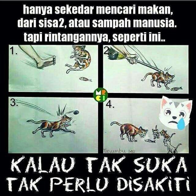 5500 Koleksi Gambar Binatang Seperti Kucing HD