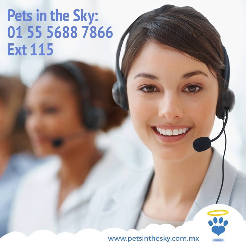 ¡No dudes en marcarnos para más información! Te esperamos :) #PetsInTheSky #EmpresaMexicana
